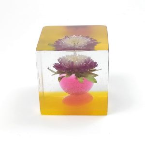 レジン・フラワーキューブ・ヒメアスター赤fc006