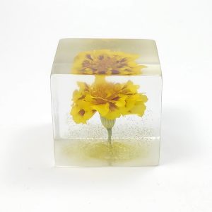 レジン・フラワーキューブ・マリーゴールドfc009