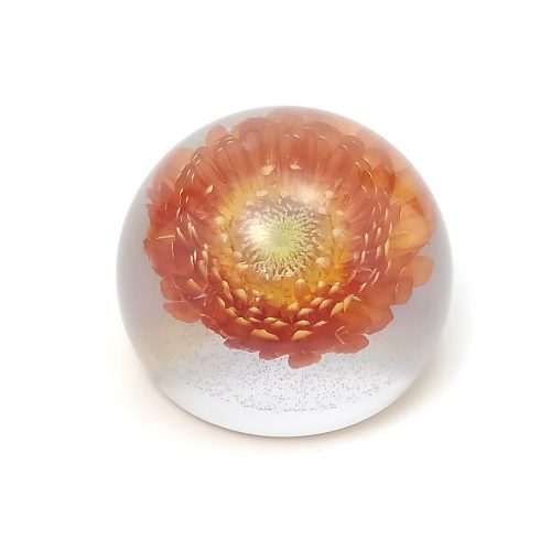 レジン・フラワードームfd001